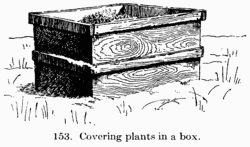 [Illustration: Fig. 153: Covering plants in a box.]