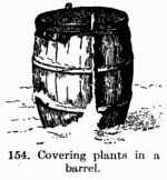 [Illustration: Fig. 154: Covering plants in a barrel.]