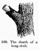 [Illustration: Fig. 166. The death of a long stub.]