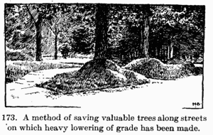 [Illustration: Fig. 173. A method of saving
valuable trees along streets on which heavy lowering of grade has been made.]