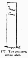 [Illustration: Fig. 177. The common stake label.]