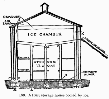 [Illustration: Fig. 189. A fruit storage
house cooled by ice.]