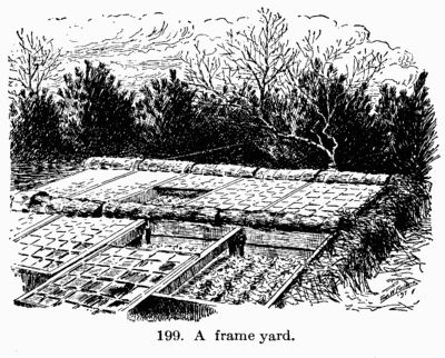 [Illustration: Fig. 199. A frame yard.]