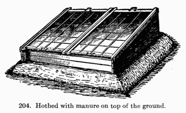 [Illustration: Fig. 204. Hotbed with manure
on top of the ground.]