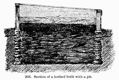 [Illustration: Fig. 206 Parallel runs of
hotbeds with racks for holding sashes.]