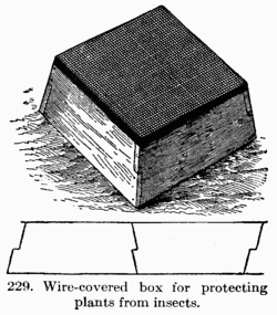 [Illustration: Fig. 229. Wire-covered box for
protecting plants from insects.]