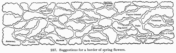 [Illustration: Fig. 237. Suggestions for a border of spring flowers.]