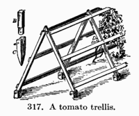 [Illustration: 317. A tomato trellis.]